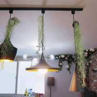 GamJa Guesthouse 