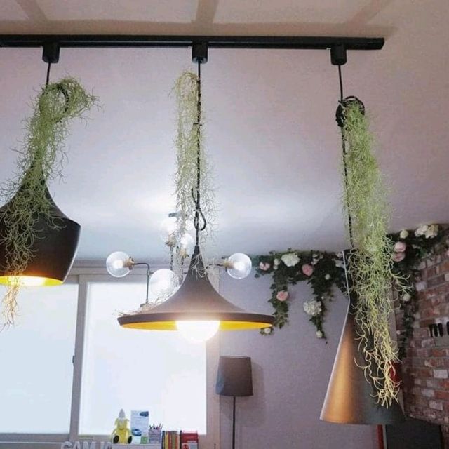 GamJa Guesthouse 