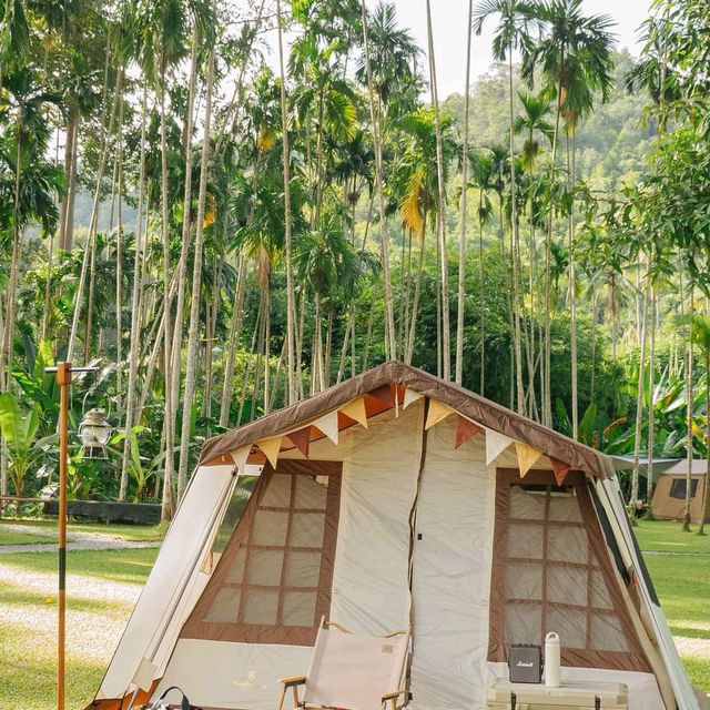 yang na camp