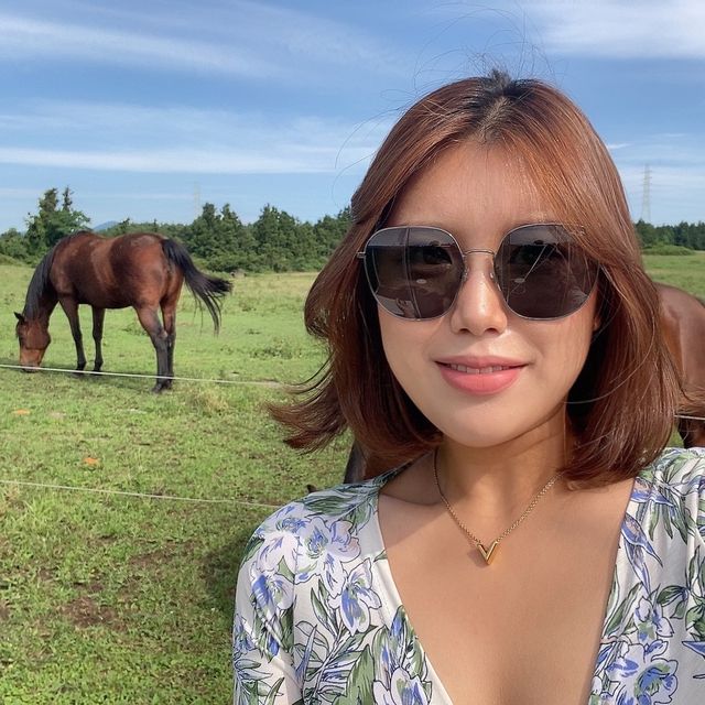 제주도 말을 바로 앞에서?! 성이시돌 목장🐎🌴