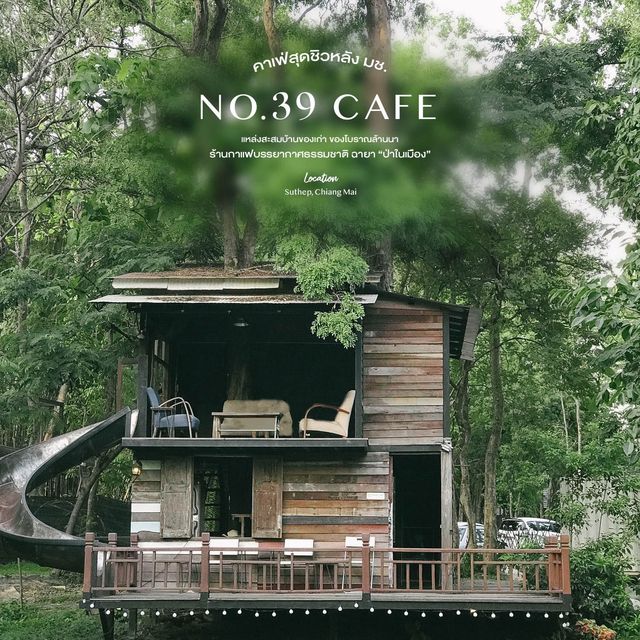 No.39 Café - ร้านกาแฟธรรมชาติ ป่าในเมือง No.39 Café - ร้านกาแฟธรรมชาติ ป่าในเมือง