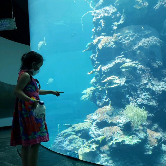 【屏東車城】海洋生物博物館