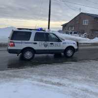 Witness the Iditarod dog sled race in Nome