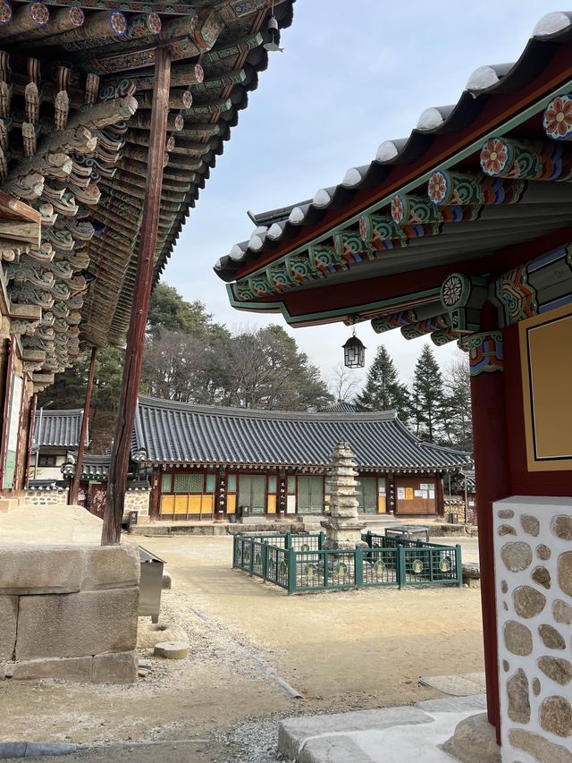 여주 가볼만한 사찰 신륵사