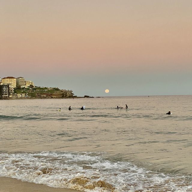 Bondi Beach - Sydney