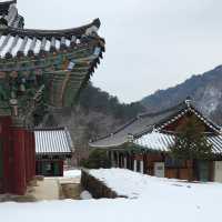 설경이 멋진 수타사의 겨울