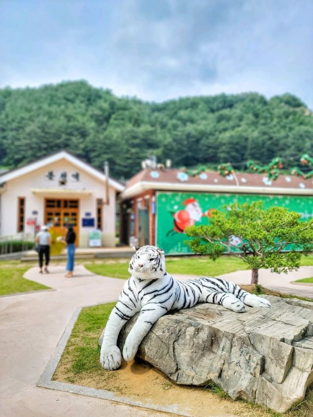 사계절내내 크리스마스인곳, 봉화 분천산타마을🎅🎄