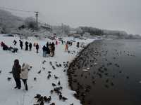 Lake inawashiro , Fukushima 