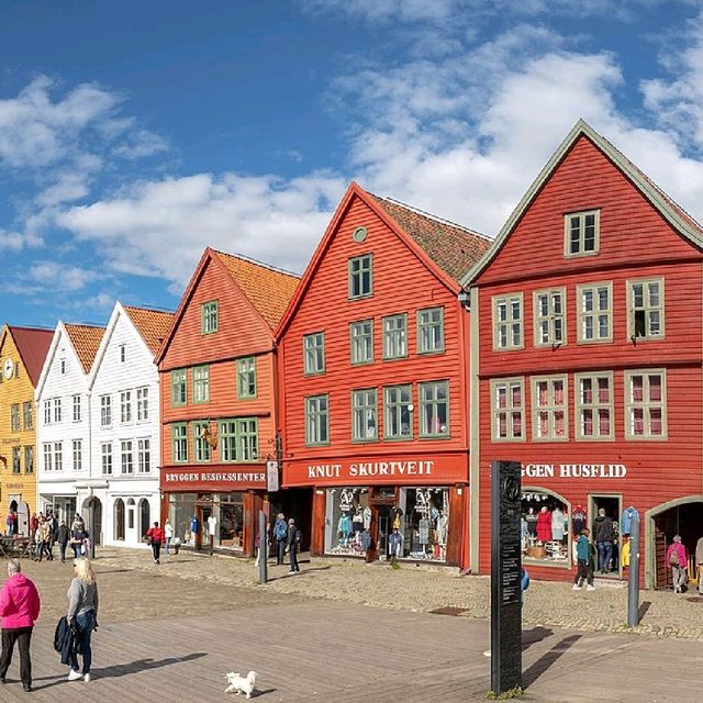 Bryggen comercial Buildings