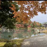 京都[紅葉めぐり] 絶景の天龍寺