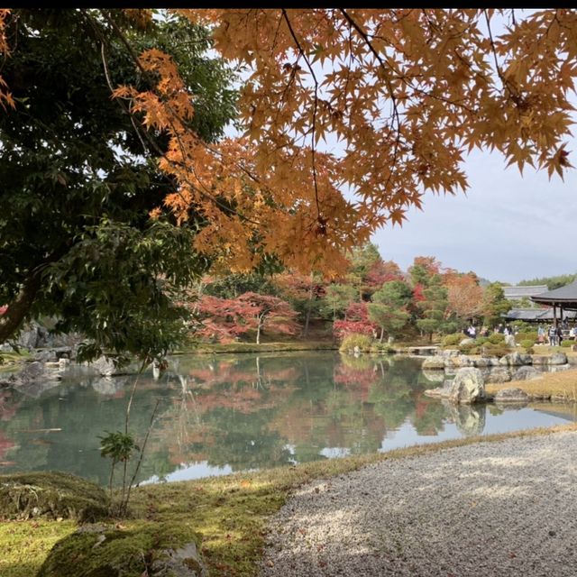 京都[紅葉めぐり] 絶景の天龍寺