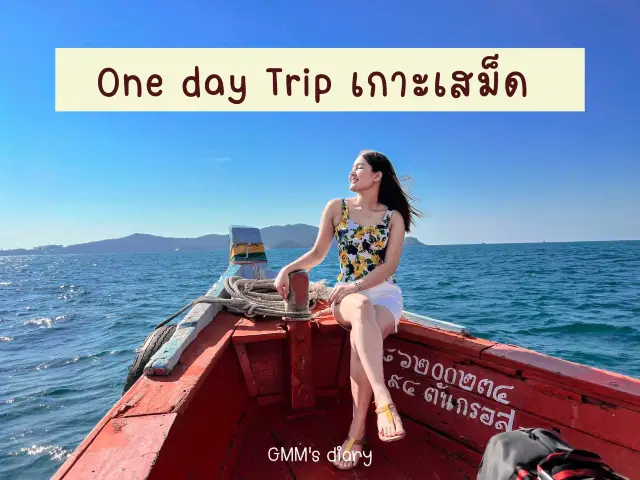 One day Trip : เกาะเสม็ด