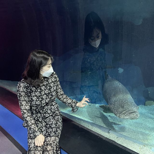 해운대에서 바다친구들과 즐기는 이색데이트