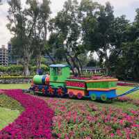 大公主在此👸🏻士林官邸💯不再錯過的美麗花園🌹🌷💐🌺🌸🌼🌻