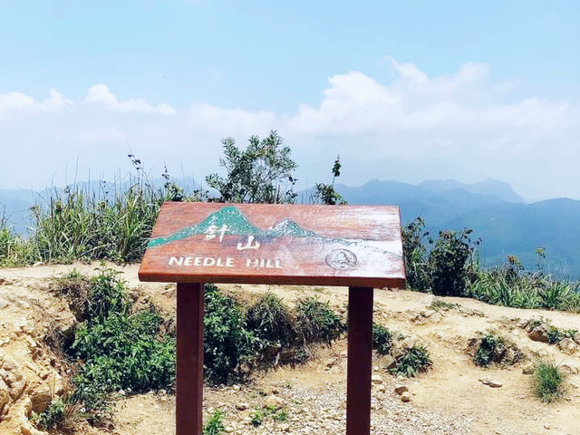 針山