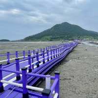 전남 신안의 퍼플섬 !! 보라보라마을 💜💜💜