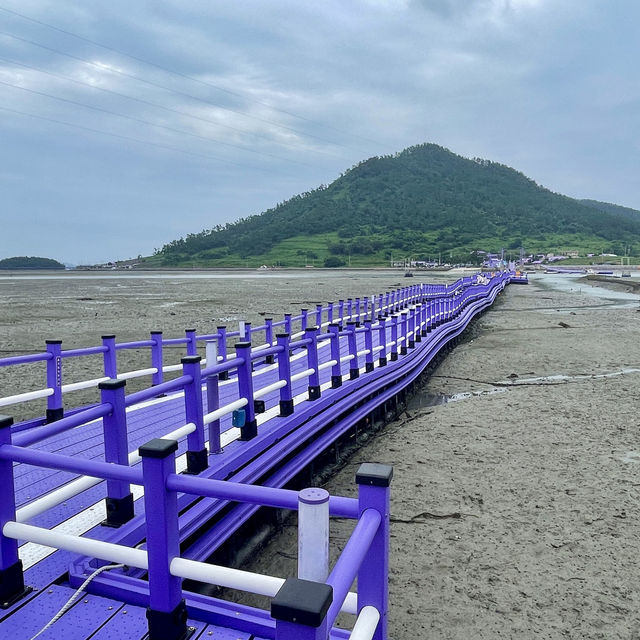전남 신안의 퍼플섬 !! 보라보라마을 💜💜💜
