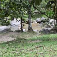 Day Trip - Back to Nature Cafe