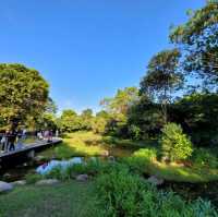 美麗如畫的濕地公園🏞