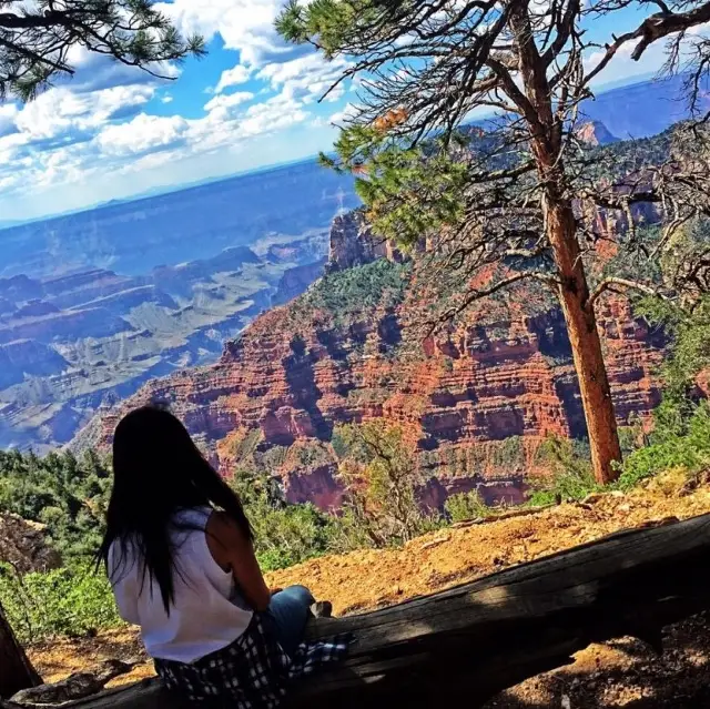 GRAND CANYONと、その他のおすすめ