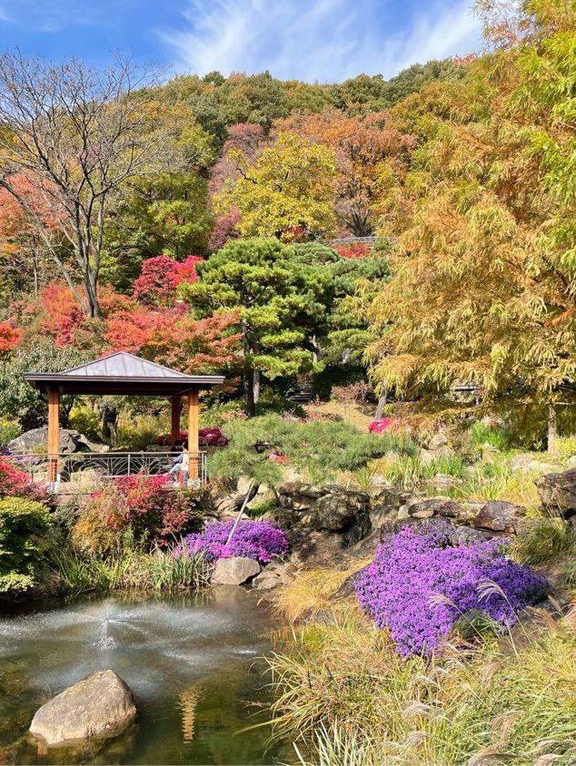 가을 여행 명소 :: 곤지암 화담숲🍁🍂