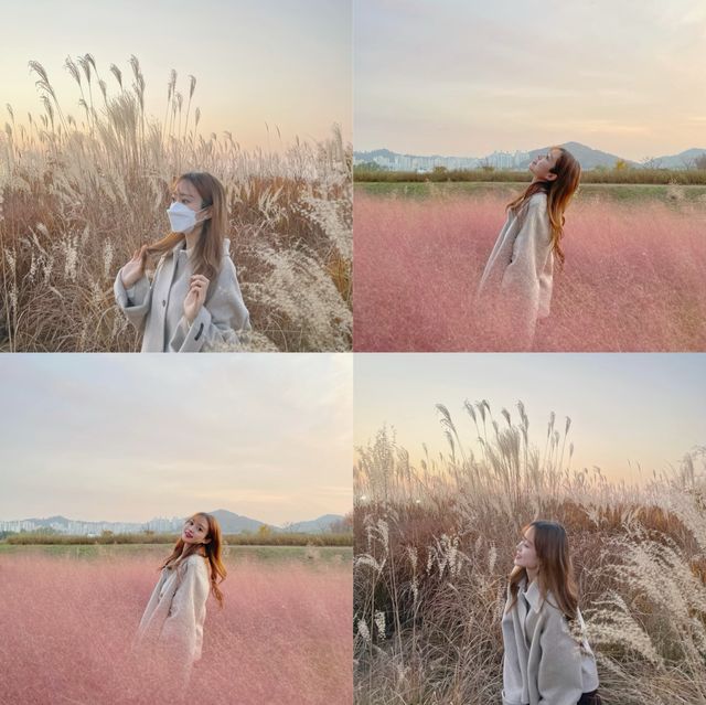 가을정취 물씬, 시흥 갯골생태공원