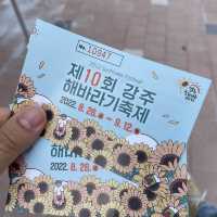 해바라기가 너무 이뻐용:)