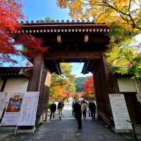 秋は紅葉の【永観堂】✨