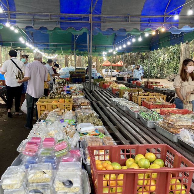 ทำบุญสวนป่าสมุนไพร@วัดปลักไม้ลาย