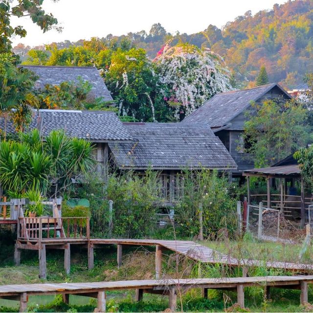 ภูเรือ เรือนไม้ รีสอร์ท ที่พักบรรยากาศดี วิวทุ่งนา