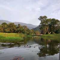 Riding Paddle Boat in Taiping Lake Gardens