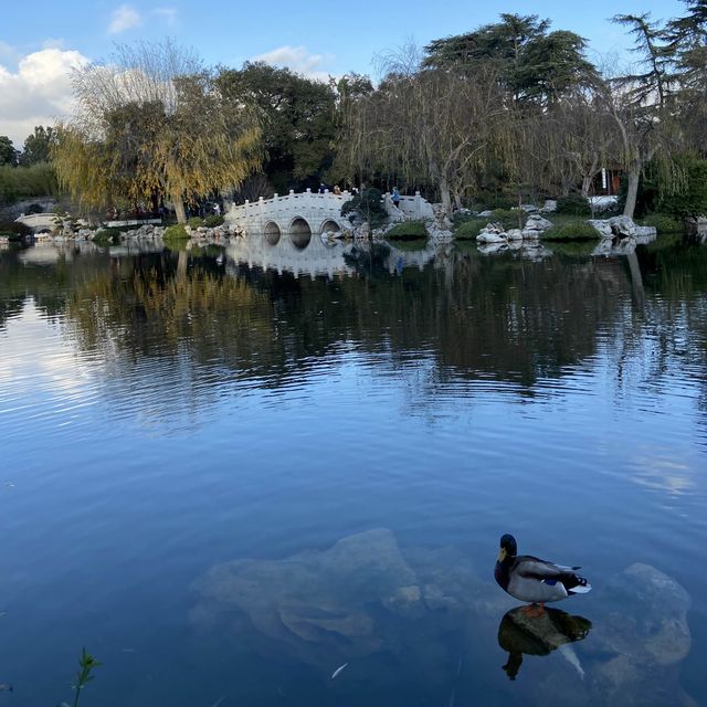 Magnificent Asian garden, a must visit to LA