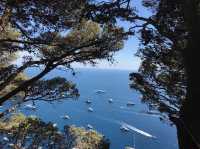 view from Downtown Capri 🇮🇹 