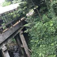 猴硐貓村