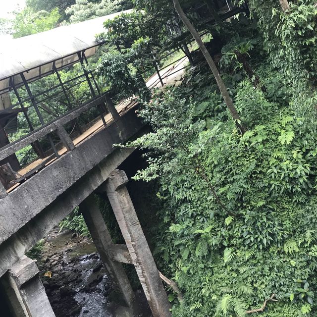 猴硐貓村