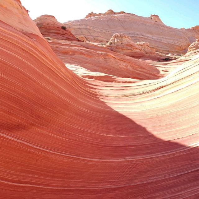 The wonderful Wave