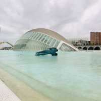 experience in Valencia