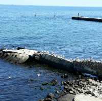 Odessa beautiful Port city of Ukraine