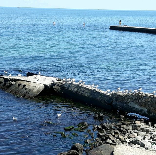 Odessa beautiful Port city of Ukraine Odessa beautiful Port city of Ukraine