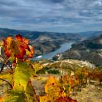 Warm Fall in Portugal