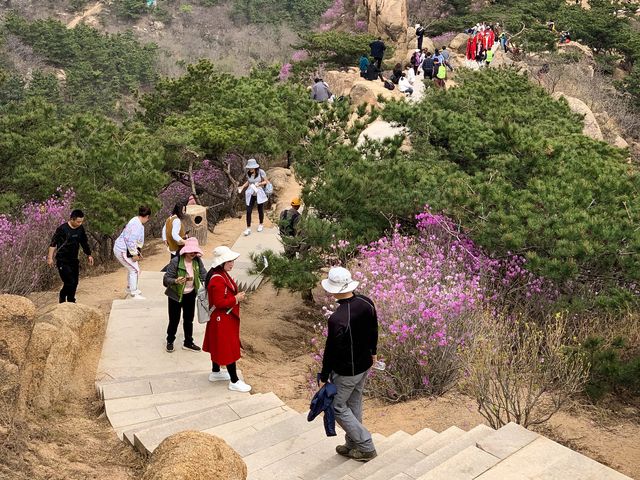 봄꽃들의 향연이 펼쳐지는 환상적인 풍경, 주산수곡(珠山水谷)