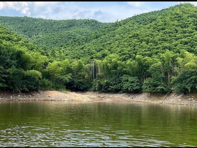 Bamboo forest in Moganshan.