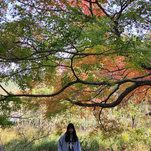 K Drama view at Ruqin Lake 