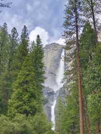 California | Yosemite National Park Photo Sharing 3