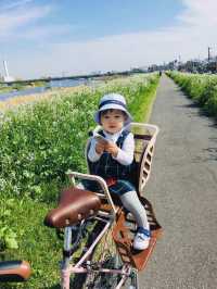 Cherry blossom season is coming again, I really want to go and see the Tamagawa River of the past.