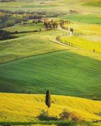 Tuscany