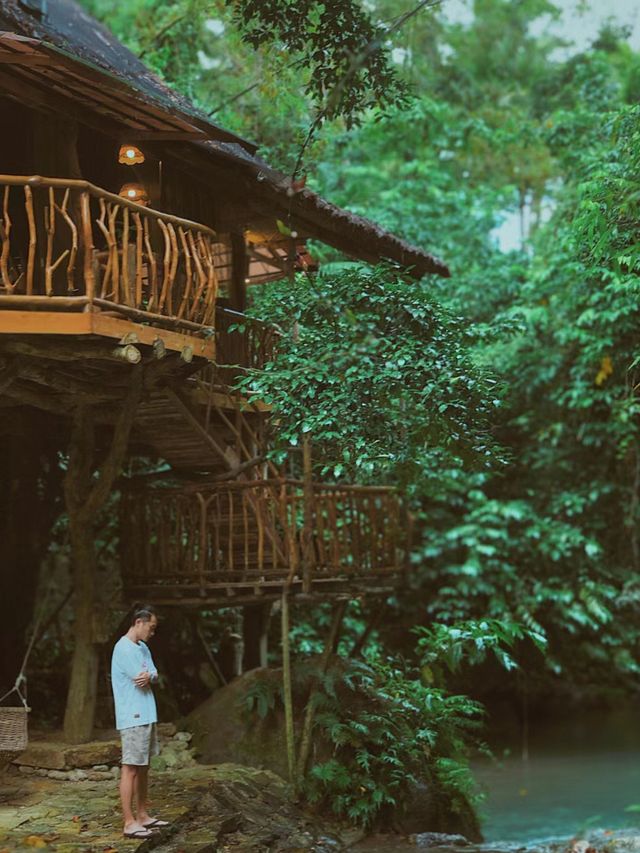 Philippines treehouse vacation, enjoy the beautiful scenery.