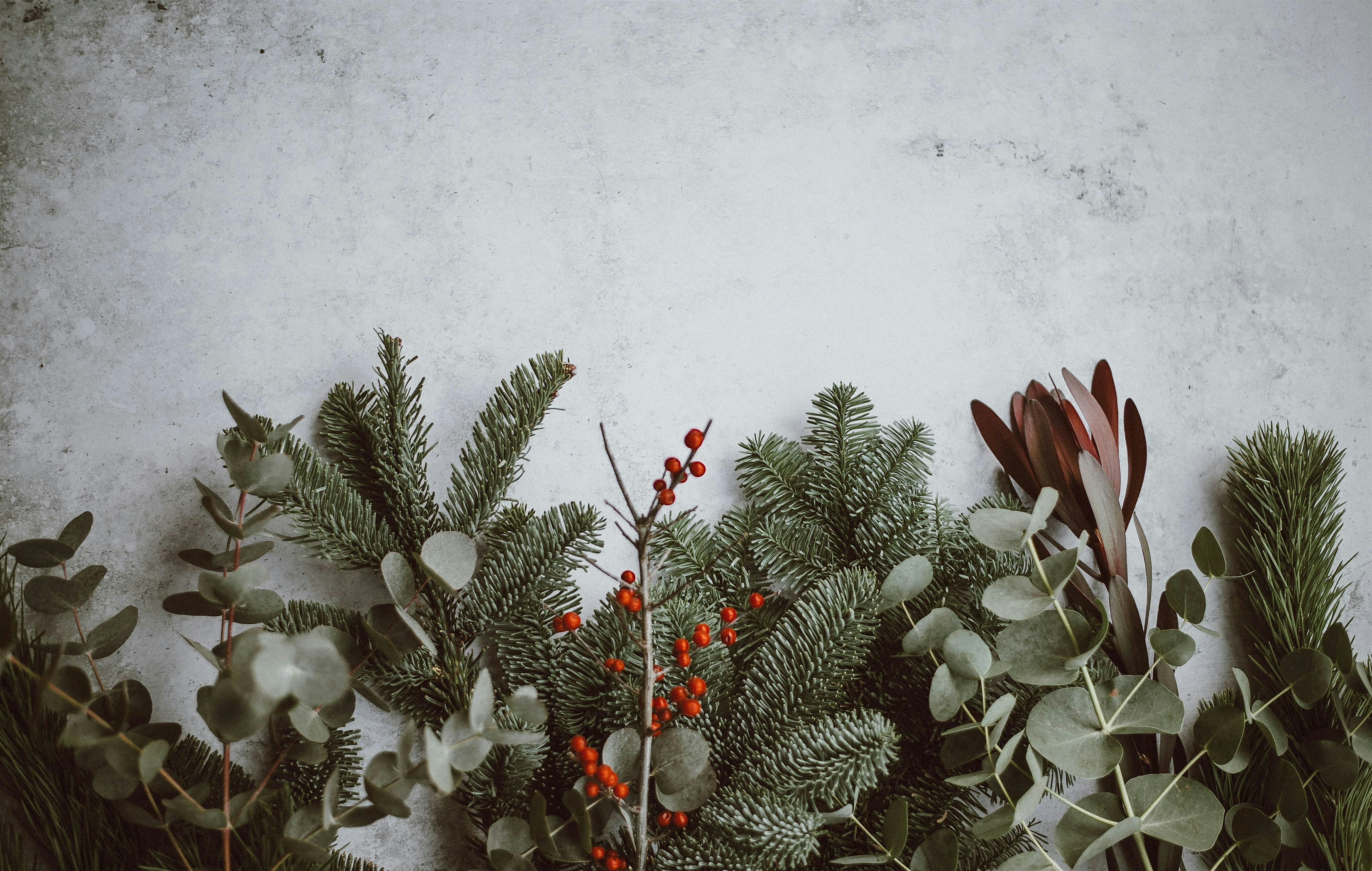 Holiday Pops on Broadway - 2pm Concert | First Lutheran Church