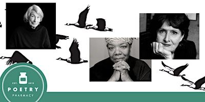Mary Oliver, Maya Angelou & Eavan Boland | Poetry Pharmacy