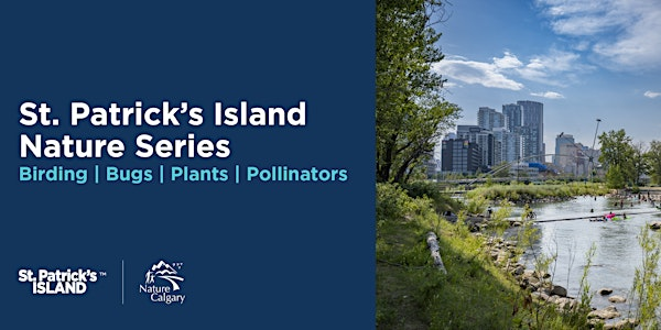 St. Patrick's Island Nature Series: BAT & MOTH NIGHT | 656 Confluence Way SE